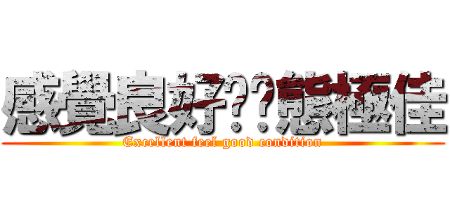 感覺良好·狀態極佳 (Excellent feel good condition)