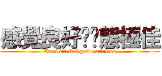 感覺良好·狀態極佳 (Excellent feel good condition)