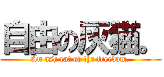 自由の灰猫。 (An ash cat of the freedom.)