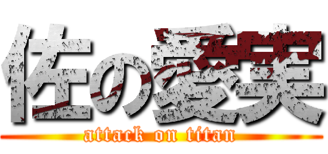 佐の愛実 (attack on titan)