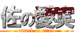 佐の愛実 (attack on titan)