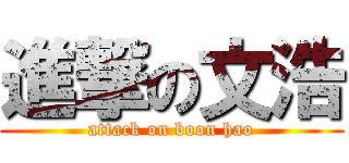 進撃の文浩 (attack on boon hao)