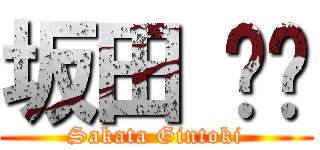 坂田 银时 (Sakata Gintoki)