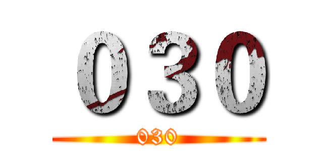 ０３０ (030)