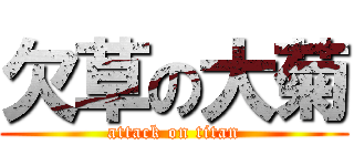 欠草の大菊 (attack on titan)