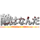 敵はなんだ (attack on titan)