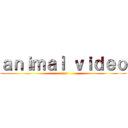 ａｎｉｍａｌ ｖｉｄｅｏ (eros)