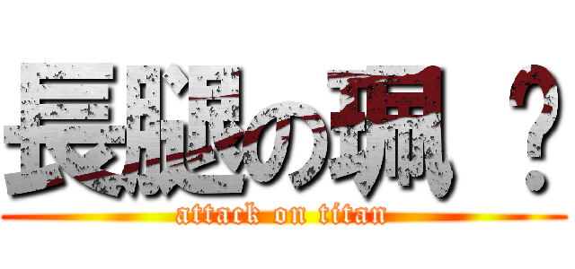 長腿の珮 瑄 (attack on titan)