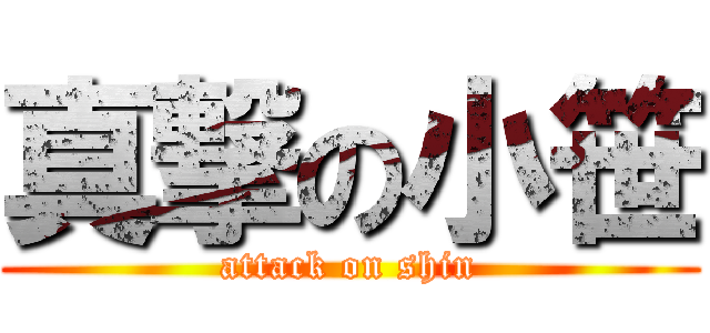 真撃の小笹 (attack on shin)