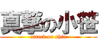 真撃の小笹 (attack on shin)