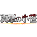 真撃の小笹 (attack on shin)