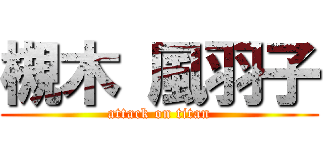 槻木 風羽子 (attack on titan)