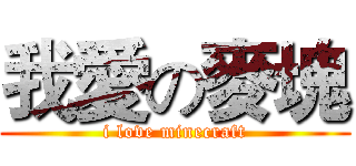 我愛の麥塊 (i love minecraft)