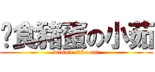 偷食豬蛋の小茹 (winnie like eat)