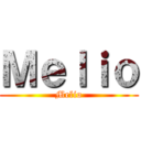 Ｍｅｌｉｏ (Melio)