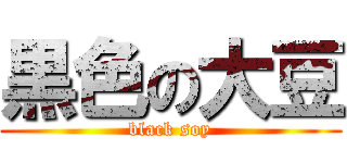 黒色の大豆 (black soy)