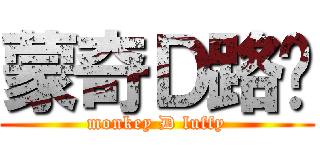 蒙奇Ｄ路飞 (monkey D luffy)