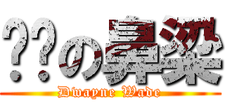 黃韡の鼻梁 (Dwayne Wade)