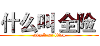 什么叫 全险  (attack on titan)