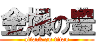 金爆の豊 (attack on titan)