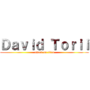 Ｄａｖｉｄ Ｔｏｒｉｉ (attack on titan)