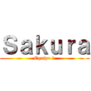 Ｓａｋｕｒａ (Equipo 1)