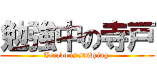 勉強中の寺戸 (Terado is studying )