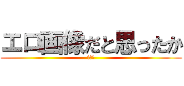 エロ画像だと思ったか (俺だよ)
