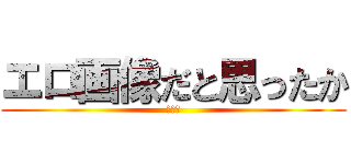 エロ画像だと思ったか (俺だよ)