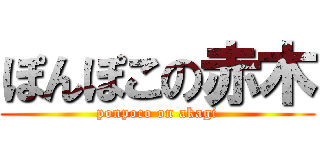 ぽんぽこの赤木 (ponpoco on akagi)