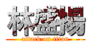 林盛揚 (attack on titan)