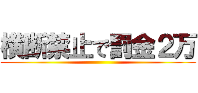 横断禁止で罰金２万 ()