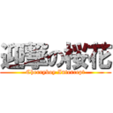 迎撃の桜花 (Cherryboy Intercept)