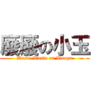 廢廢の小玉 (Waste Waste on Xiaoyu)