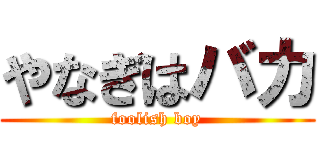 やなぎはバカ (foolish boy)