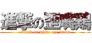 進撃の歪嘴鶏 (attack on white-eye birds)