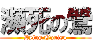 瀕死の鶯 (Dying Uguisu)