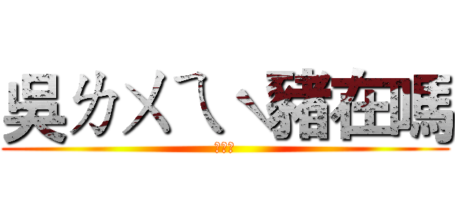 吳ㄌㄨㄟˋ豬在嗎 (在嗎？)