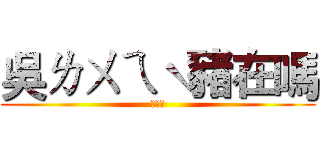 吳ㄌㄨㄟˋ豬在嗎 (在嗎？)