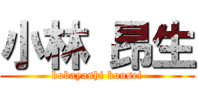 小林 昂生 (kobayashi kousei)