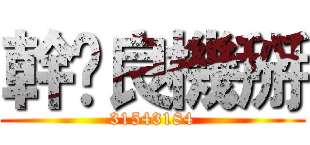幹崊良機掰 (31543184)