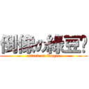 倒像の綠豆糕 (attack on Roger)