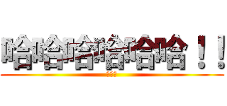 哈哈哈哈哈哈！！ (哈沙小)