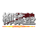 柳葉塾 (yanagiba)