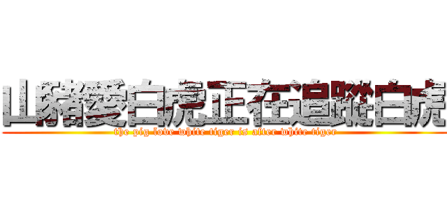 山豬愛白虎正在追蹤白虎 (the pig love white tiger is after white tiger)