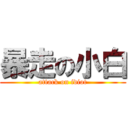 暴走の小白 (attack on idiot)