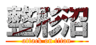 整形沼 (attack on titan)