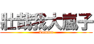 壯哉我大嵐子 (Lommm)
