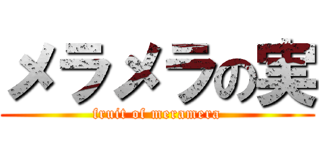 メラメラの実 (fruit of meramera)