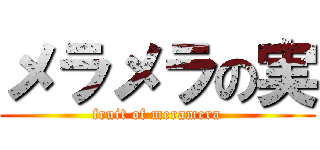 メラメラの実 (fruit of meramera)